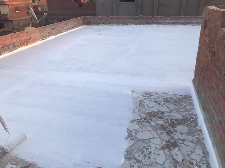 شركة عزل اسطح بالدلم