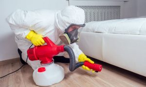 شركة رش مبيدات حي ظهرة البديعة -0506422437