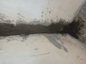 مياه تحت البيت