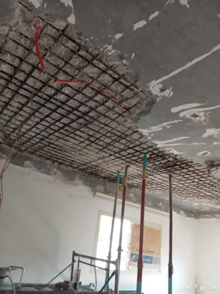 شركة معالجة التعشيش بالرياض