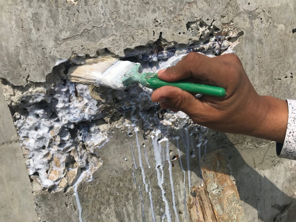 شركة معالجة التعشيش بالرياض