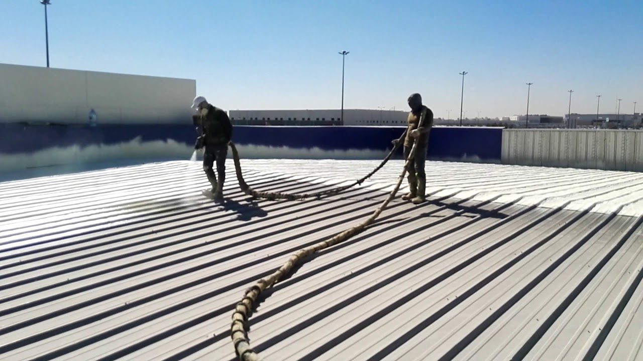 كيف يتم عزل الشينكو